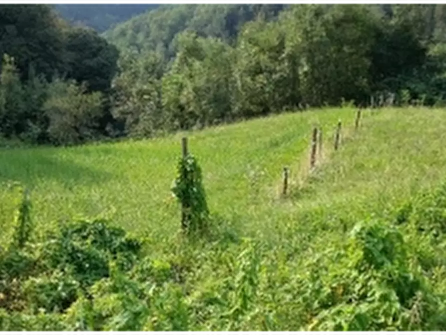 Immagine 5 di Terreno agricolo in vendita  in Tavernole sul Mella a Tavernole Sul Mella