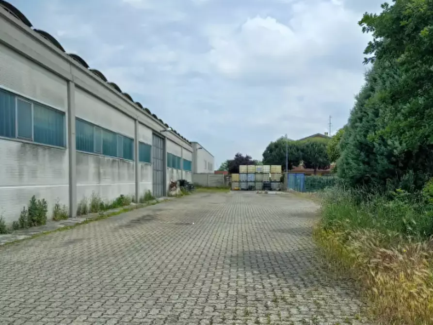 Immagine 4 di Capannone industriale in vendita  in Via dell'Industria a Cura Carpignano