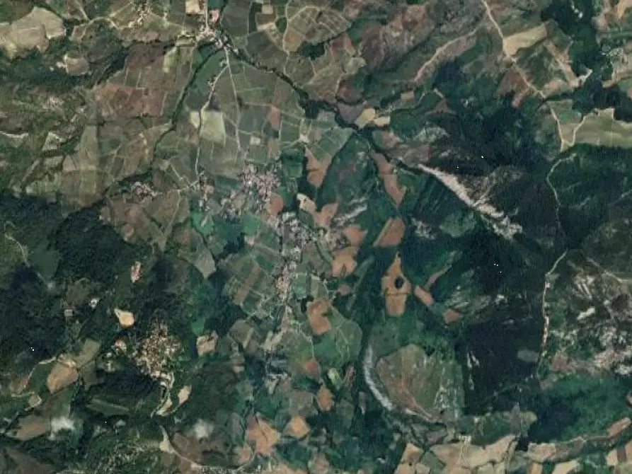 Immagine 4 di Terreno agricolo in vendita  in Località Borgoratto Mormorolo a Borgoratto Mormorolo