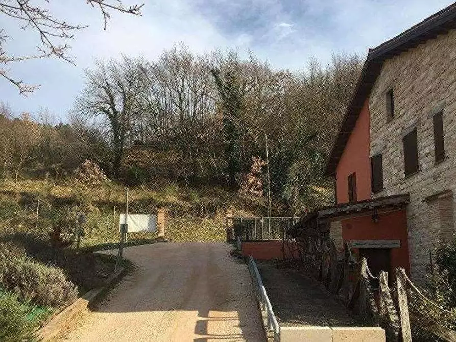 Immagine 2 di Azienda agricola in vendita  in Località Valrea a Pergola