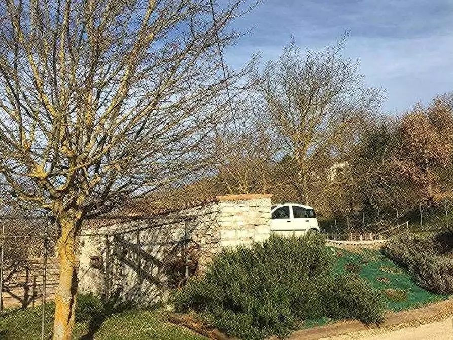 Immagine 9 di Azienda agricola in vendita  in Località Valrea a Pergola