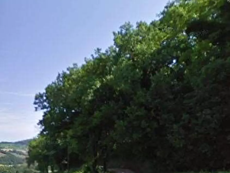 Immagine 14 di Azienda agricola in vendita  in Località Valrea a Pergola