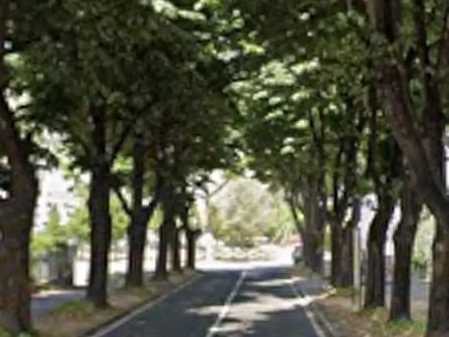 Immagine 5 di Garage in vendita  in Corso Italia a Caronno Pertusella