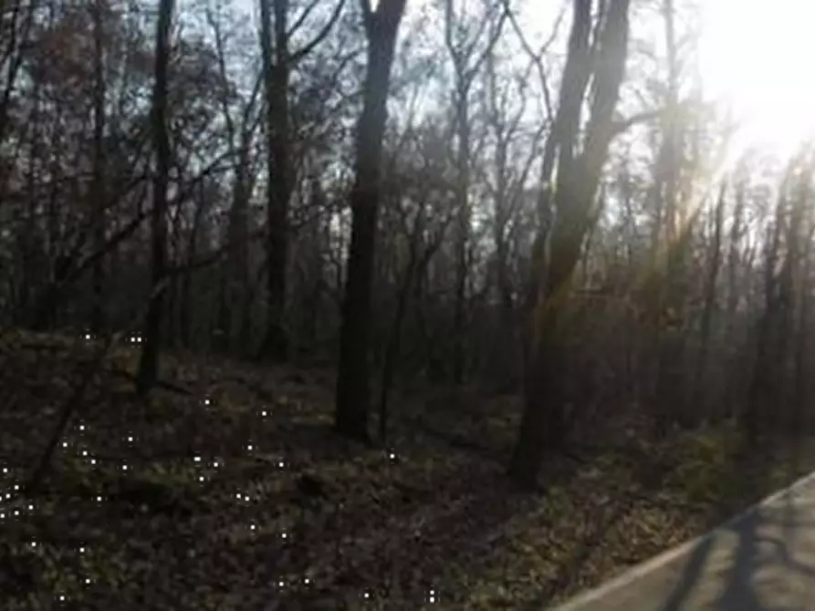 Immagine 2 di Terreno agricolo in vendita  in Via Cerone a Nosate