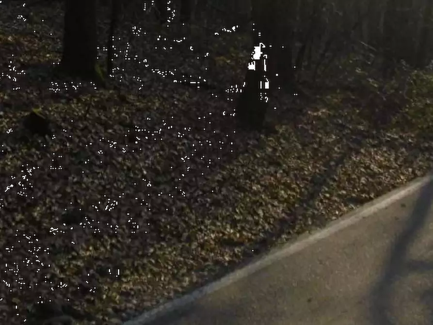 Immagine 1 di Terreno agricolo in vendita  in Via Cerone a Nosate