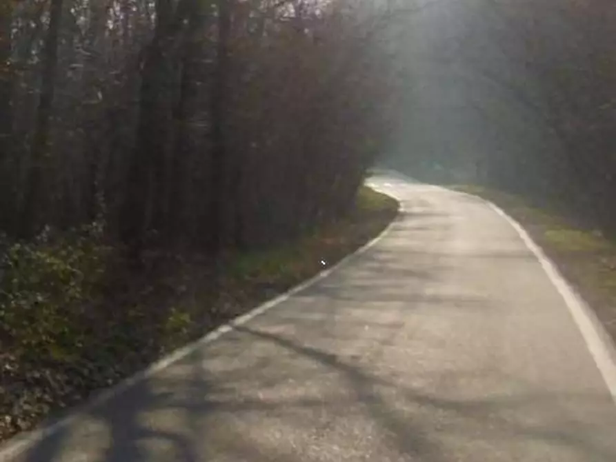 Immagine 3 di Terreno agricolo in vendita  in Via Cerone a Nosate