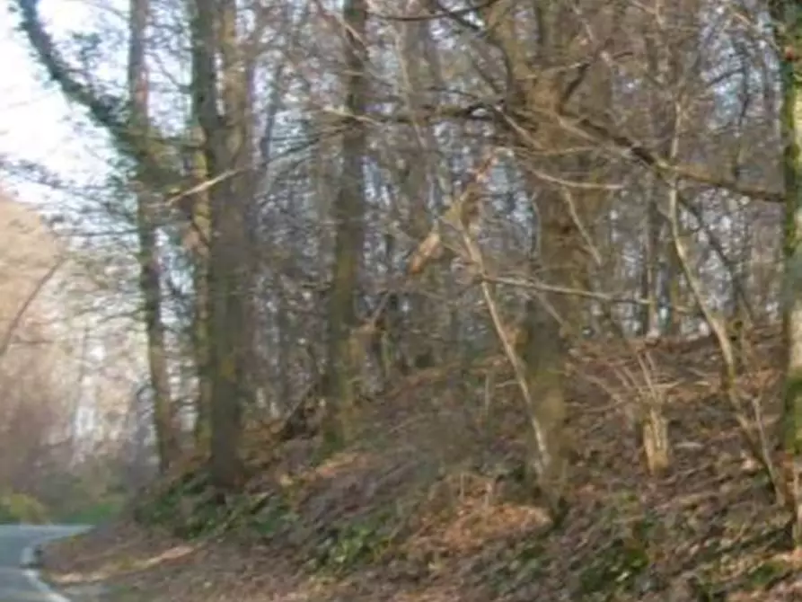 Immagine 4 di Terreno agricolo in vendita  in Via Cerone a Nosate