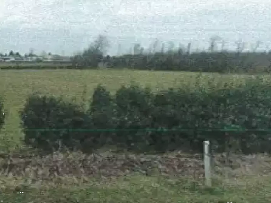 Immagine 5 di Terreno edificabile in vendita  in Viale della Resistenza a Castano Primo