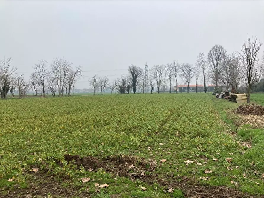 Immagine 1 di Terreno agricolo in vendita  in Località Roggia a Inzago