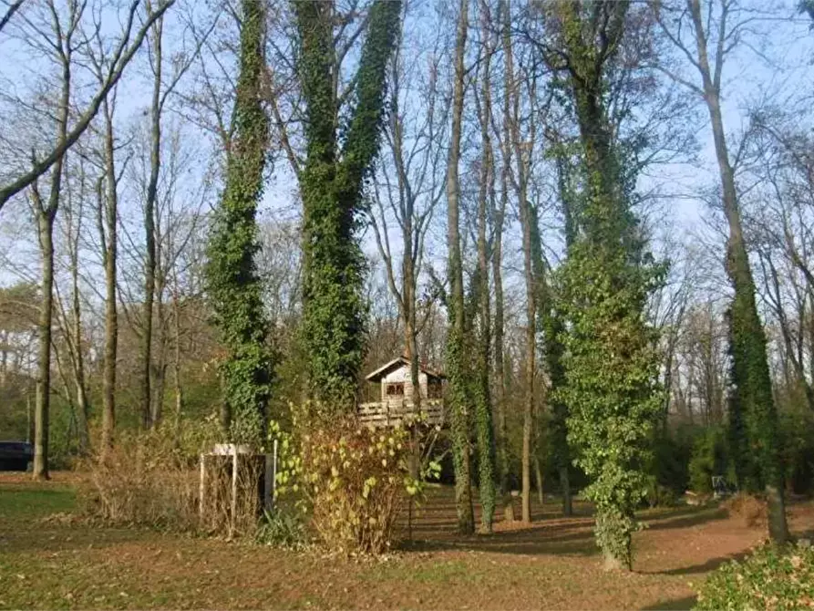 Immagine 6 di Villa in vendita  in Via Cerone a Nosate