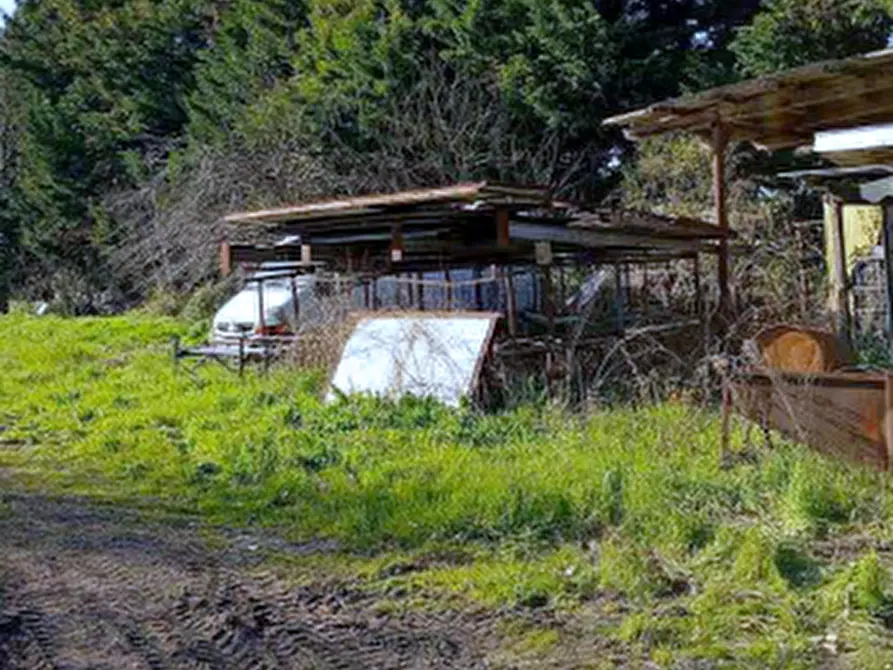 Immagine 3 di Terreno agricolo in vendita  in  Via San Rocco a Fiesse