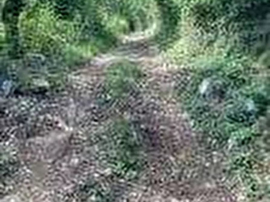 Immagine 2 di Terreno agricolo in vendita  in Via San Gallo a Botticino