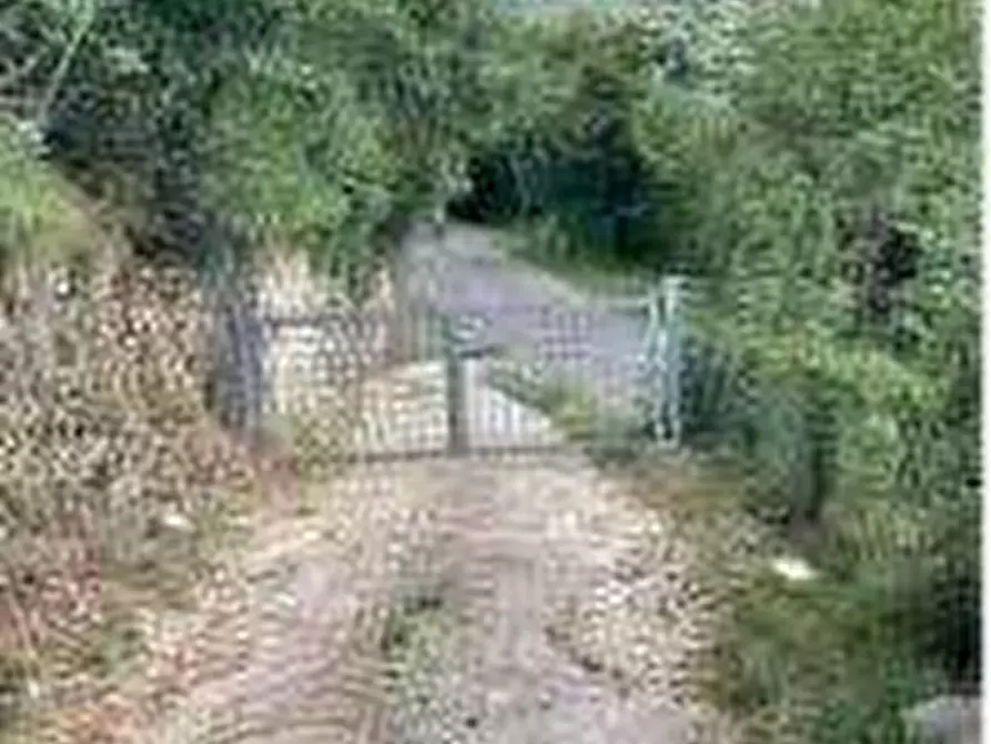 Immagine 3 di Terreno agricolo in vendita  in Via San Gallo a Botticino