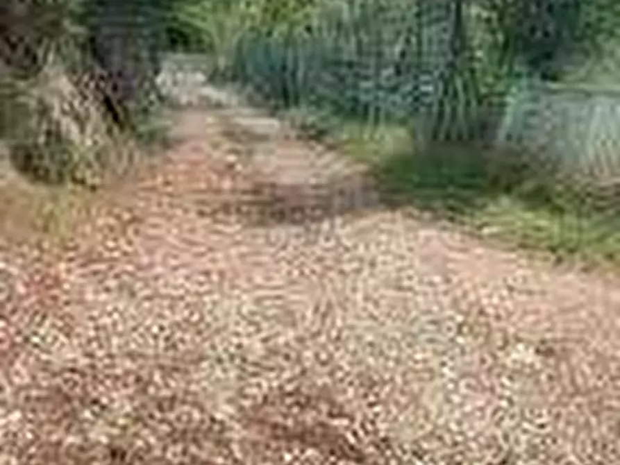 Immagine 1 di Terreno agricolo in vendita  in Via San Gallo a Botticino