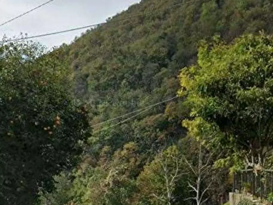 Immagine 4 di Terreno agricolo in vendita  in Via San Gallo a Botticino