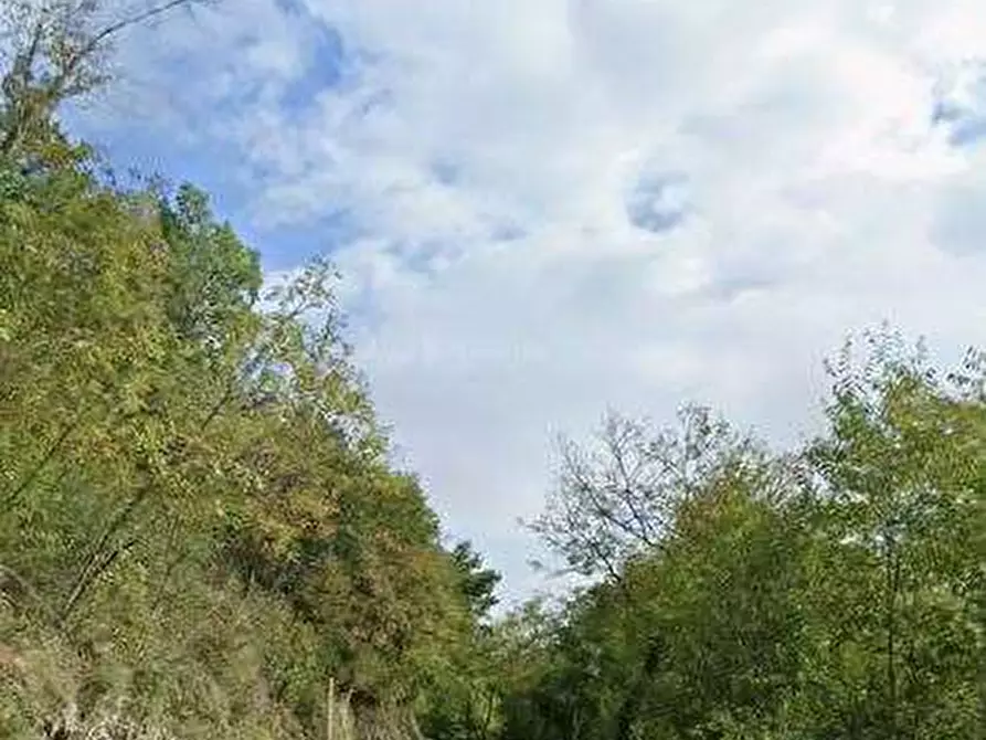 Immagine 6 di Terreno agricolo in vendita  in Via San Gallo a Botticino