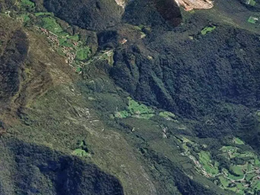 Immagine 9 di Terreno agricolo in vendita  in Via San Gallo a Botticino