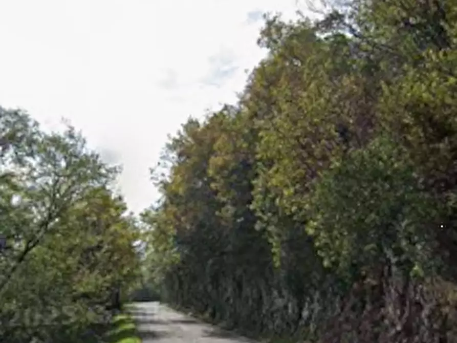 Immagine 4 di Terreno agricolo in vendita  in Via San Gallo a Botticino