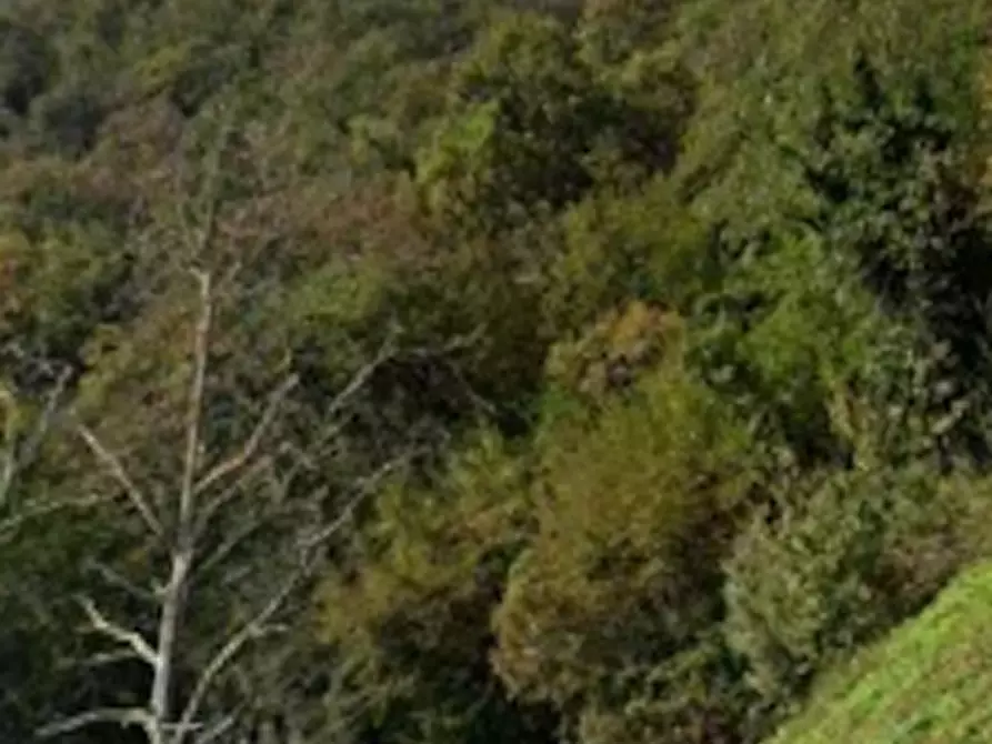 Immagine 5 di Terreno agricolo in vendita  in Via San Gallo a Botticino