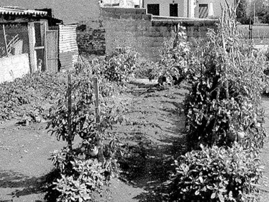 Immagine 4 di Porzione di casa in vendita  in Via G. Mameli a Milzano