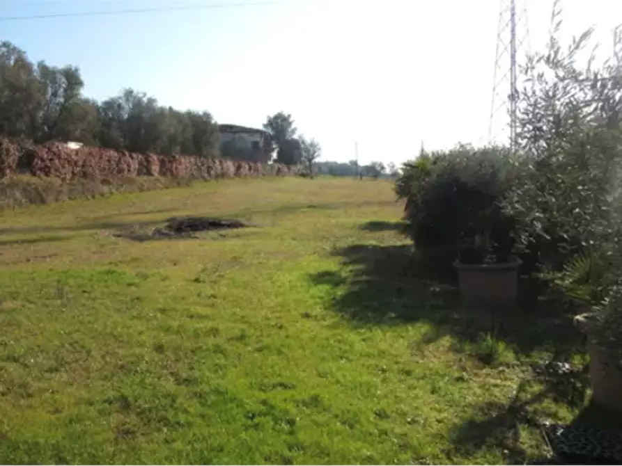 Immagine 1 di Terreno agricolo in vendita  in Via di Strognano a Cerreto Guidi