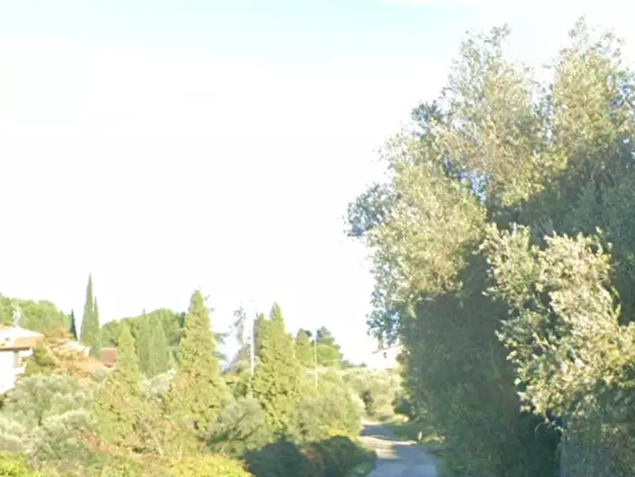 Immagine 2 di Terreno agricolo in vendita  in Via di Strognano a Cerreto Guidi