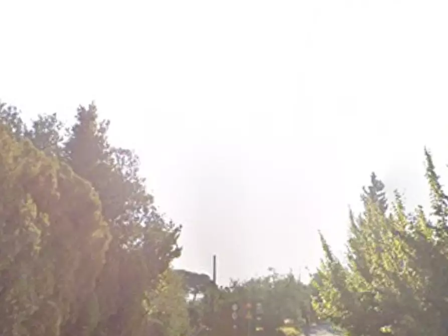 Immagine 3 di Terreno agricolo in vendita  in Via di Strognano a Cerreto Guidi
