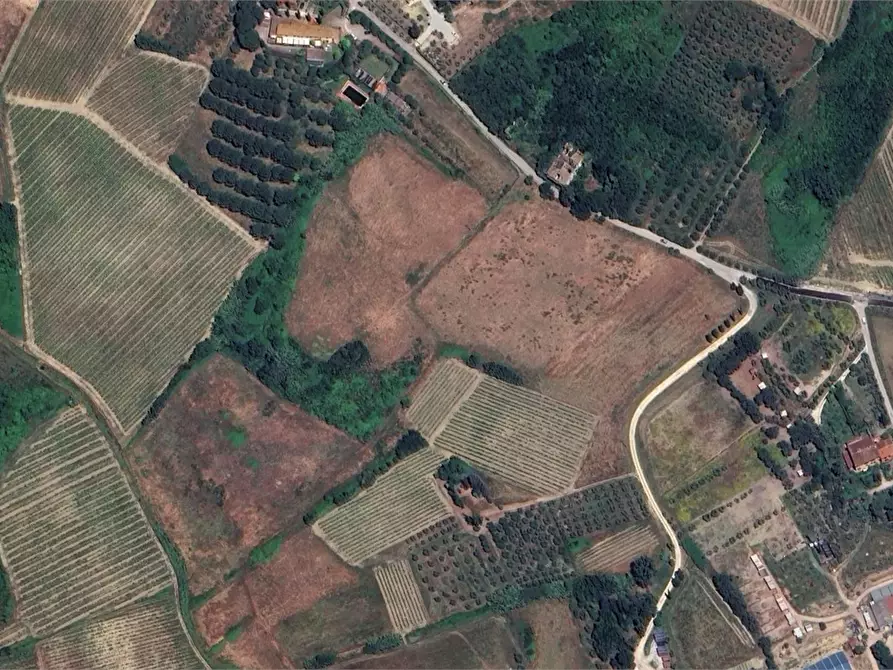 Immagine 4 di Terreno agricolo in vendita  in Via di Strognano a Cerreto Guidi