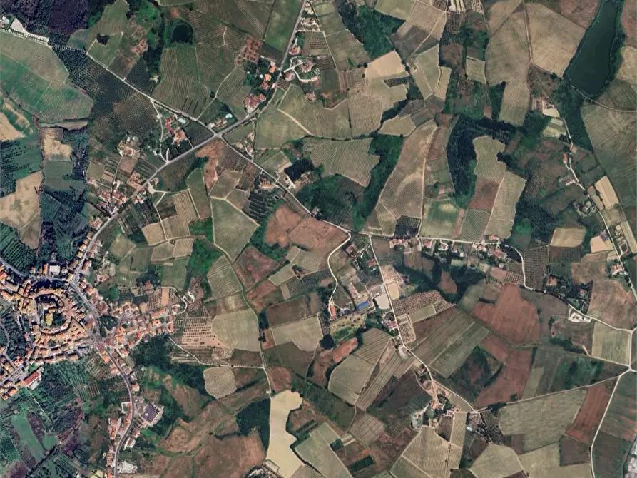 Immagine 5 di Terreno agricolo in vendita  in Via di Strognano a Cerreto Guidi