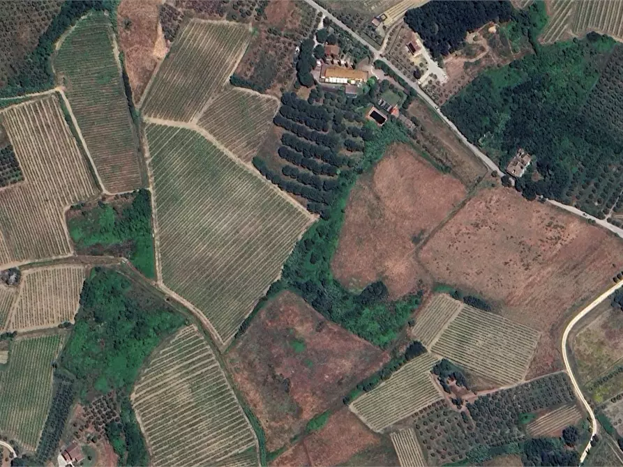 Immagine 6 di Terreno agricolo in vendita  in Via di Strognano a Cerreto Guidi