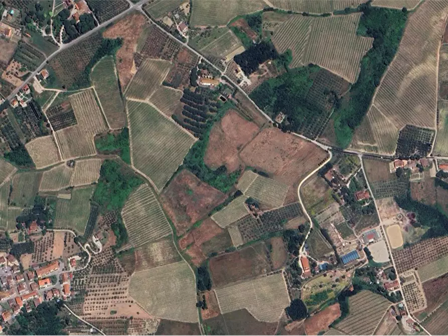 Immagine 7 di Terreno agricolo in vendita  in Via di Strognano a Cerreto Guidi