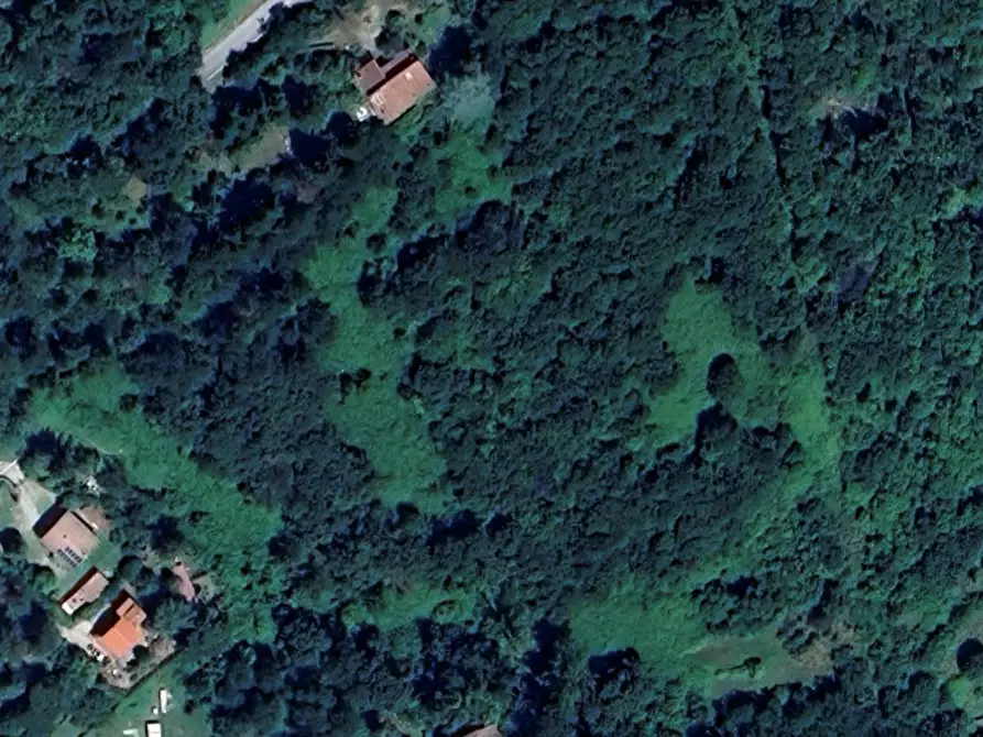 Immagine 1 di Terreno agricolo in vendita  in Località  Le Caselle - Vezzana - Mangona a Barberino Di Mugello