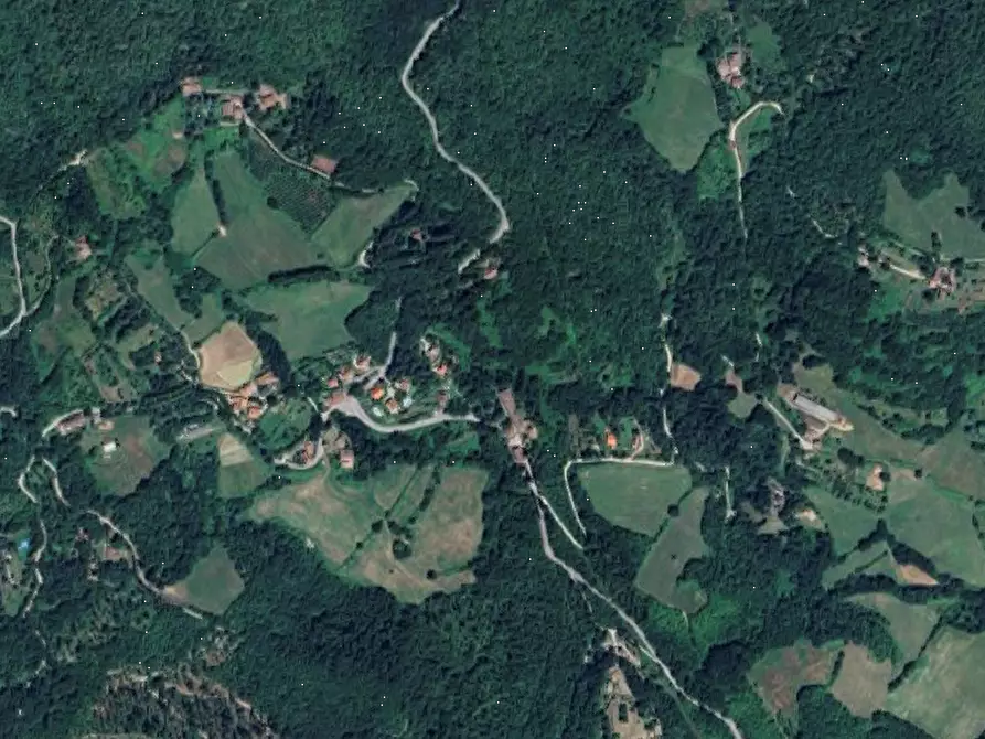 Immagine 4 di Terreno agricolo in vendita  in Località  Le Caselle - Vezzana - Mangona a Barberino Di Mugello