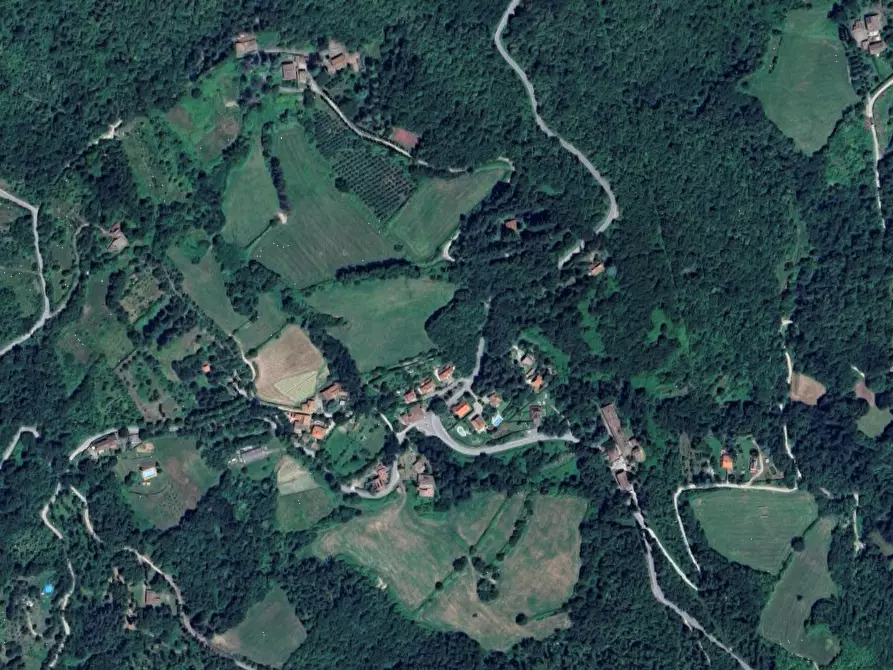 Immagine 5 di Terreno agricolo in vendita  in Località  Le Caselle - Vezzana - Mangona a Barberino Di Mugello