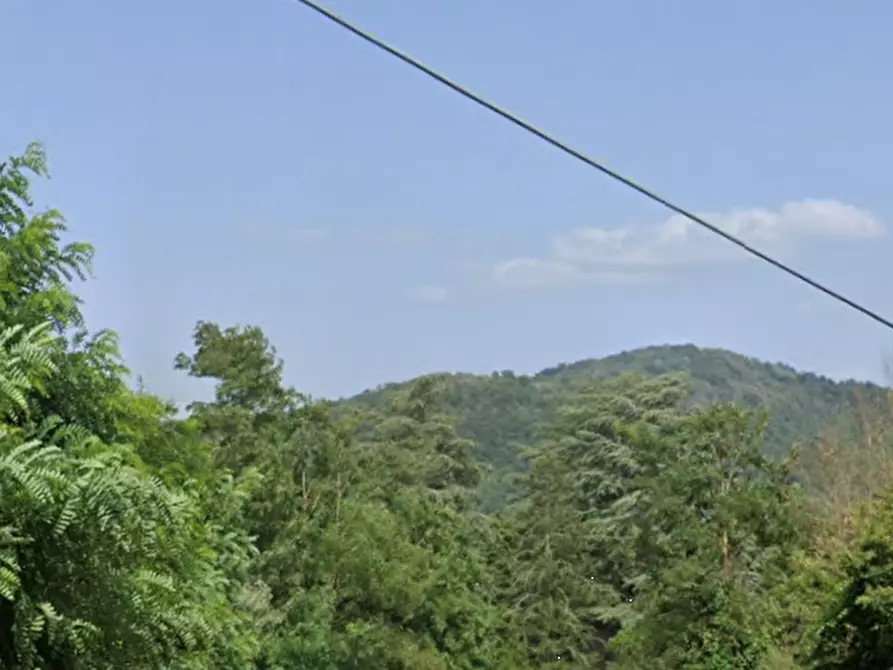 Immagine 6 di Terreno agricolo in vendita  in Località  Le Caselle - Vezzana - Mangona a Barberino Di Mugello