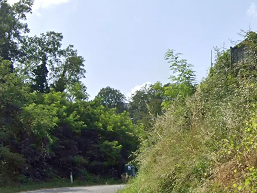 Immagine 7 di Terreno agricolo in vendita  in Località  Le Caselle - Vezzana - Mangona a Barberino Di Mugello