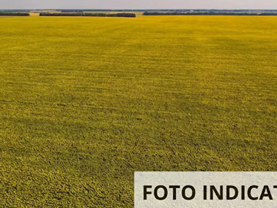 Immagine 3 di Terreno agricolo in vendita  in Località Leno a Leno