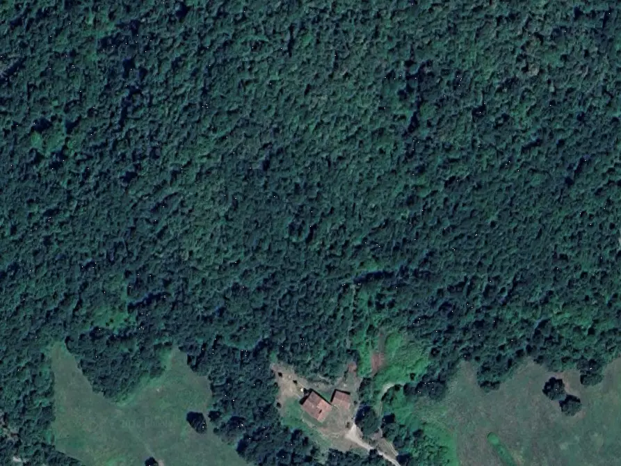 Immagine 1 di Terreno agricolo in vendita  in Localita' Villanecchio - il Saltino- Mangona  a Barberino Di Mugello