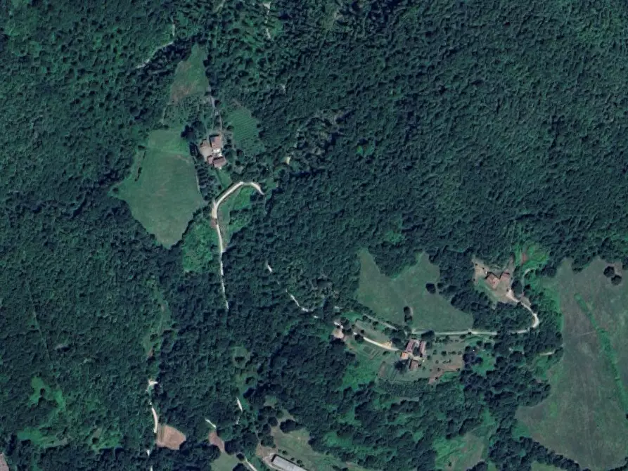 Immagine 2 di Terreno agricolo in vendita  in Localita' Villanecchio - il Saltino- Mangona  a Barberino Di Mugello
