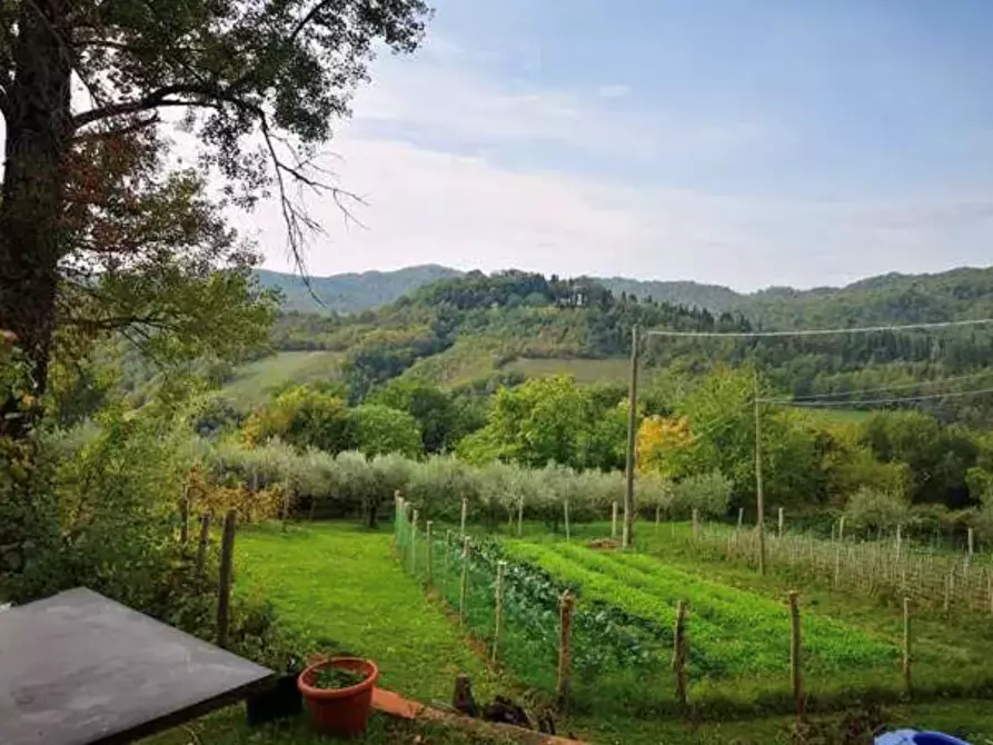Immagine 1 di Terreno agricolo in vendita  in Localita' Il Saltino - Le Caselle - Via di Vezzana  a Barberino Di Mugello