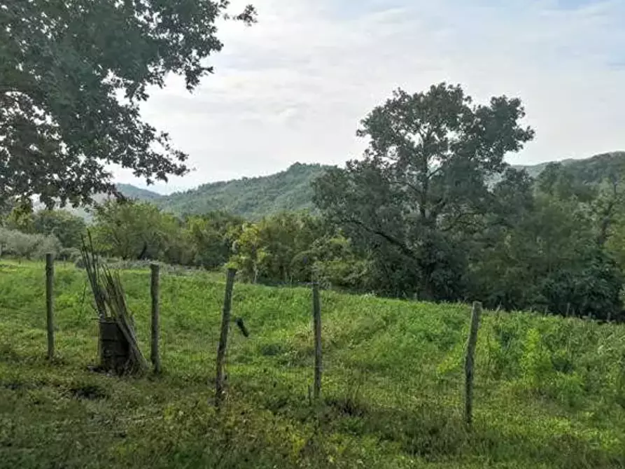 Immagine 4 di Terreno agricolo in vendita  in Localita' Il Saltino - Le Caselle - Via di Vezzana  a Barberino Di Mugello