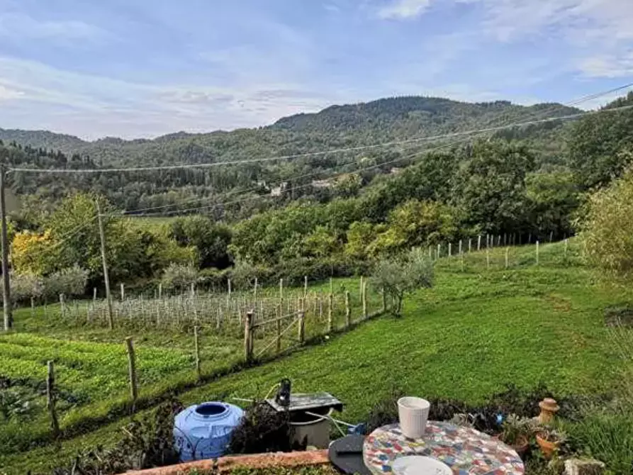 Immagine 5 di Terreno agricolo in vendita  in Localita' Il Saltino - Le Caselle - Via di Vezzana  a Barberino Di Mugello