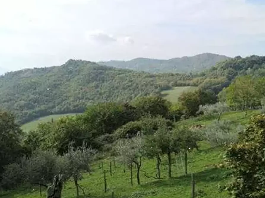 Immagine 6 di Terreno agricolo in vendita  in Localita' Il Saltino - Le Caselle - Via di Vezzana  a Barberino Di Mugello