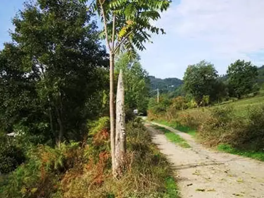 Immagine 7 di Terreno agricolo in vendita  in Localita' Il Saltino - Le Caselle - Via di Vezzana  a Barberino Di Mugello