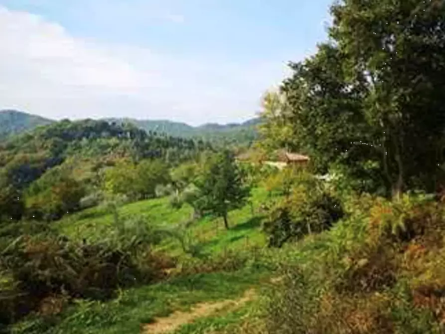 Immagine 8 di Terreno agricolo in vendita  in Localita' Il Saltino - Le Caselle - Via di Vezzana  a Barberino Di Mugello