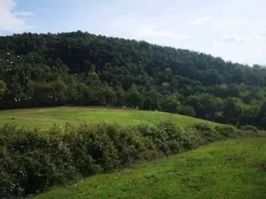 Immagine 9 di Terreno agricolo in vendita  in Localita' Il Saltino - Le Caselle - Via di Vezzana  a Barberino Di Mugello