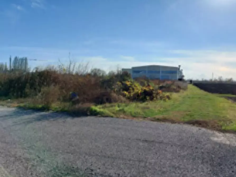 Immagine 6 di Terreno edificabile in vendita  in Via Pietro Nenni a Fratta Polesine