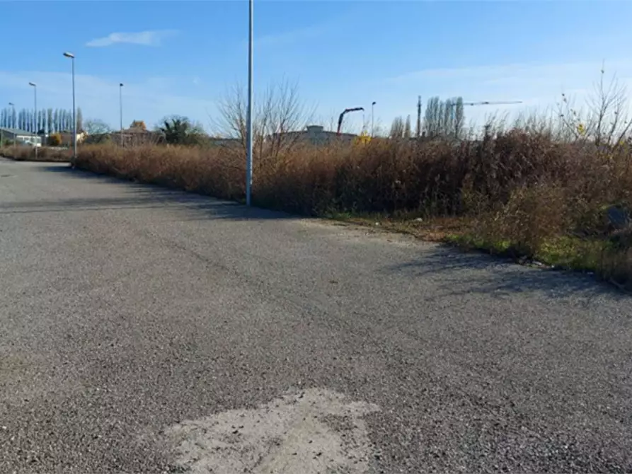 Immagine 6 di Terreno edificabile in vendita  in via Pietro Nenni a Fratta Polesine