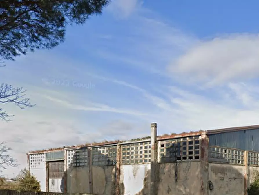 Immagine 8 di Capannone industriale in vendita  in Via 2 Giugno a Jolanda Di Savoia