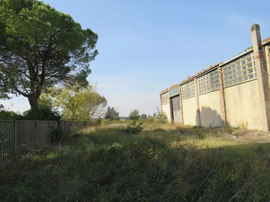 Immagine 12 di Capannone industriale in vendita  in Via 2 Giugno a Jolanda Di Savoia